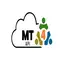 Logo of Mt4API.dev